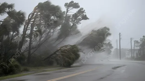 Внимание! Сильный ветер